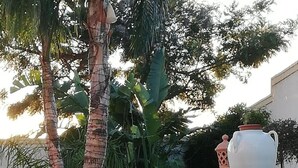 Una scala in pietra conduce a un edificio bianco, circondato da piante tropicali e un vaso bianco di grandi dimensioni.