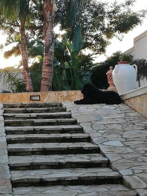 Enceinte de l’hébergement