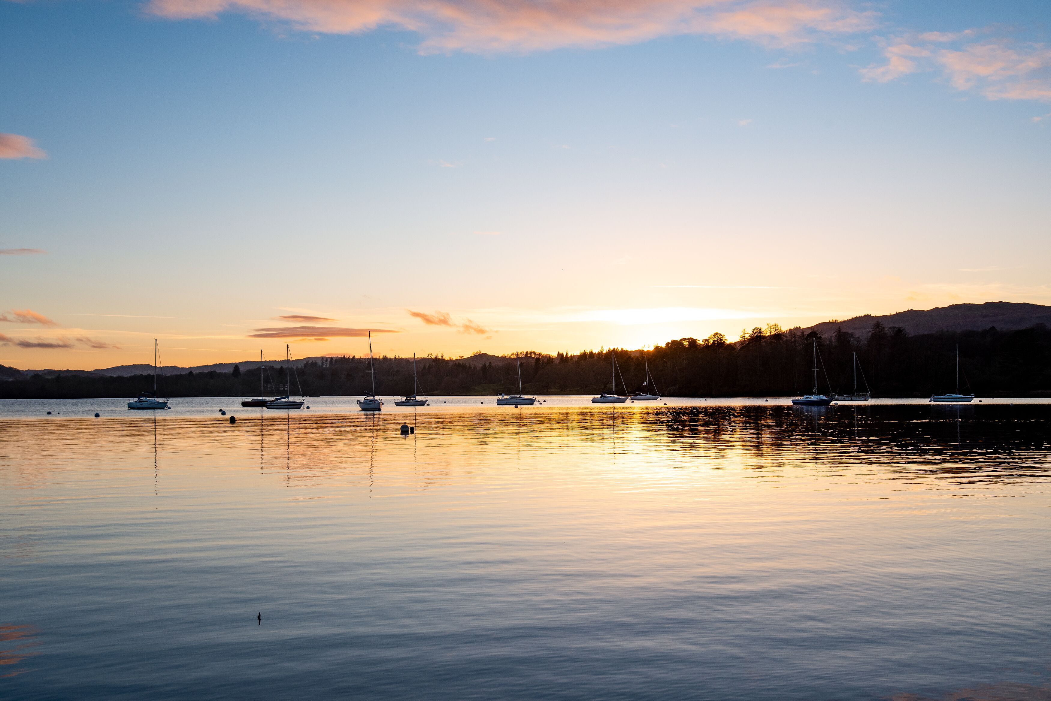 Un lac paisible où plusieurs voiliers sont amarrés, entouré d’un paysage boisé au coucher du soleil.