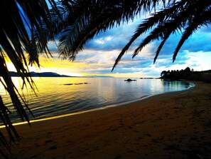 A beach with calm waters, palm trees, and a sunset.