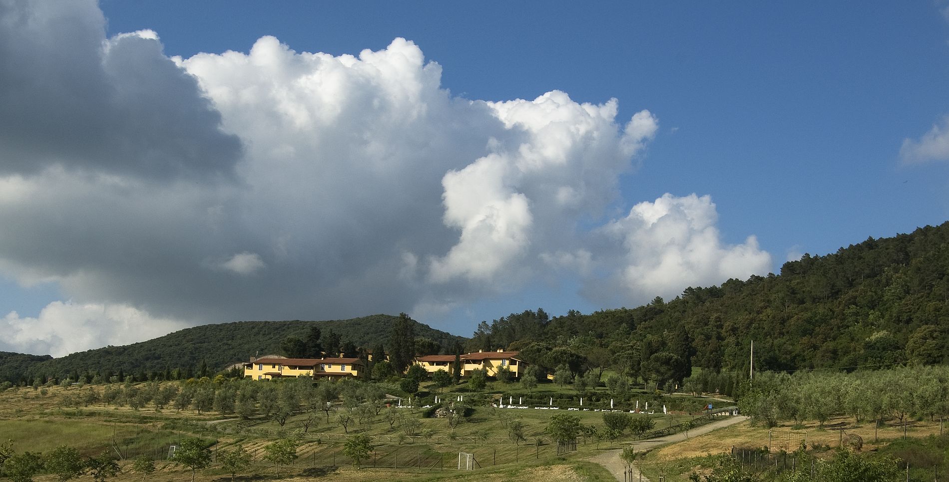 A rural landscape with a large building surrounded by trees and fields.