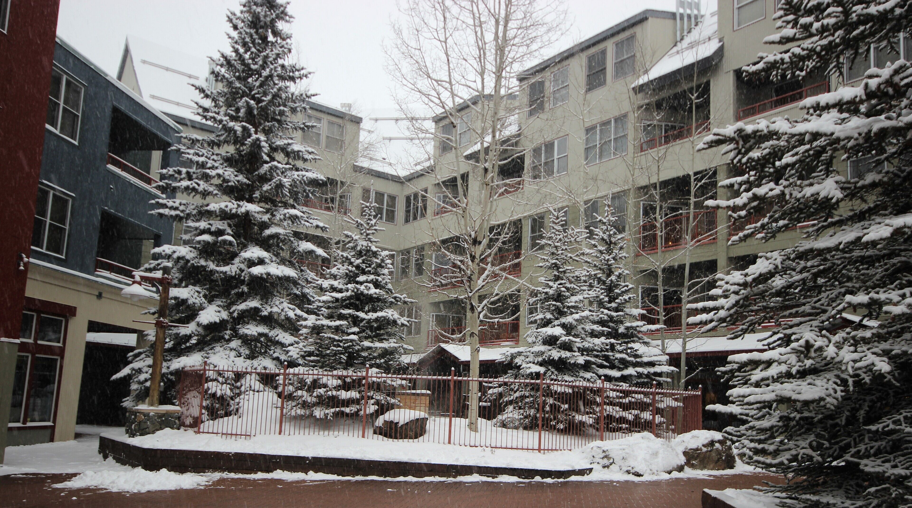 A courtyard with snow-covered trees and a building with multiple windows and balconies.