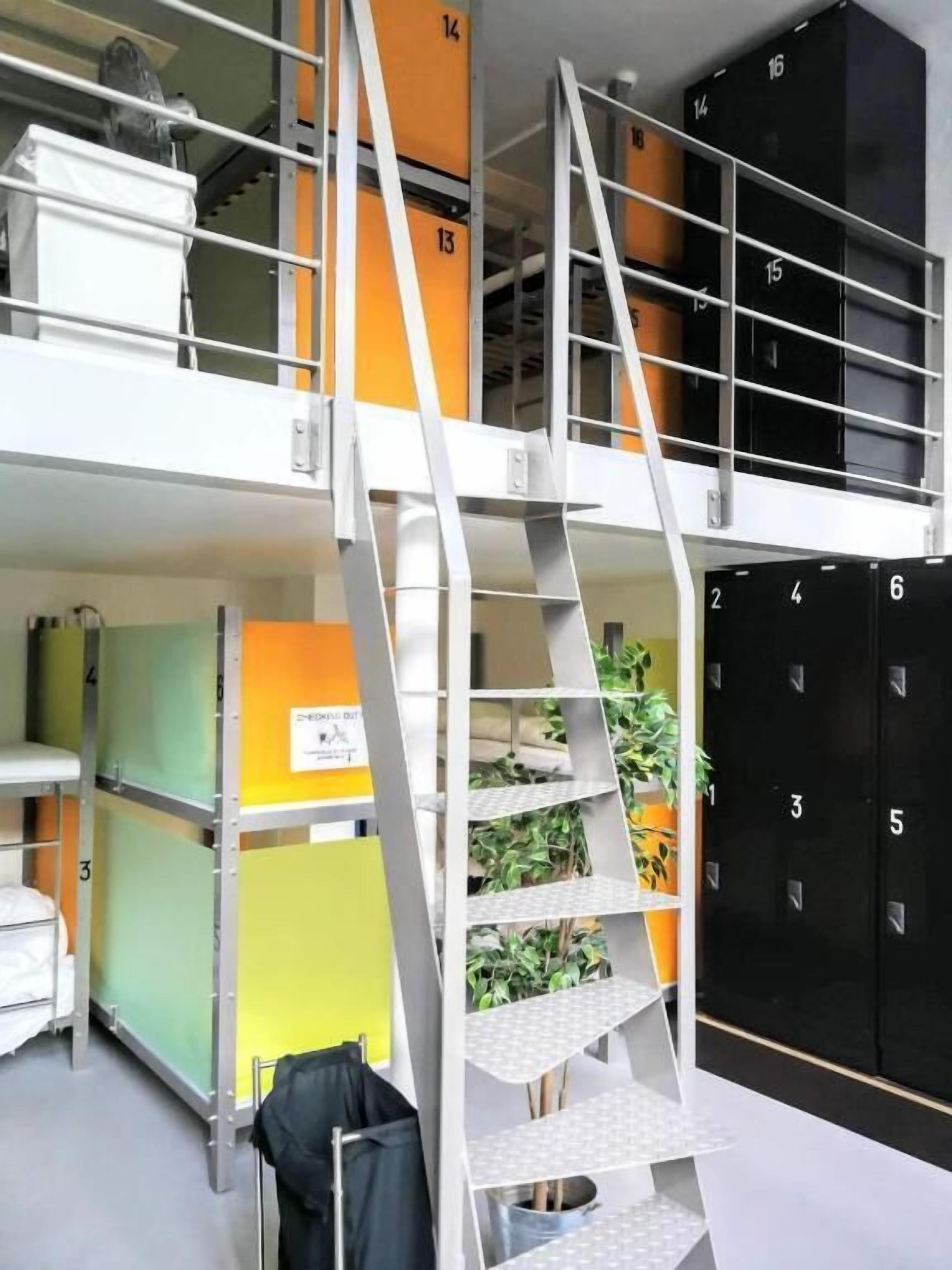 16 Bed Dorm | Intérieur