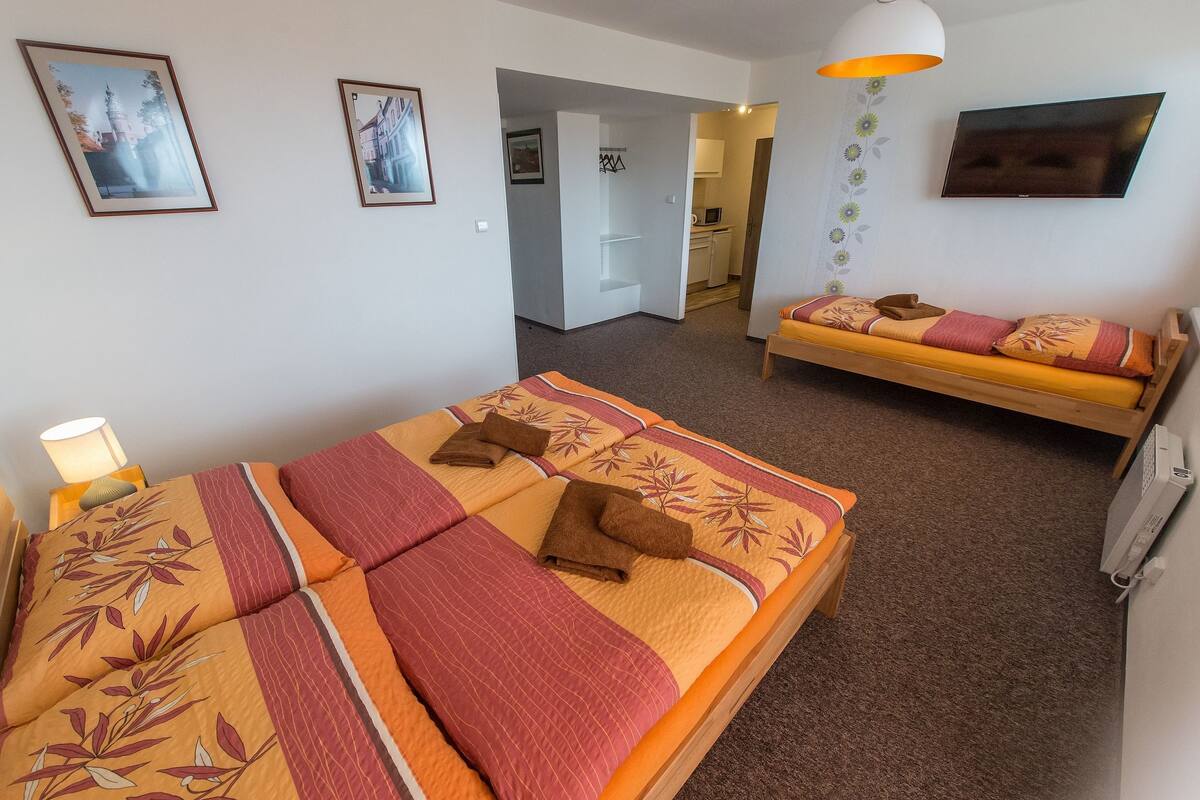 A hotel room with a large bed, a sofa, a TV, and a small kitchen area.