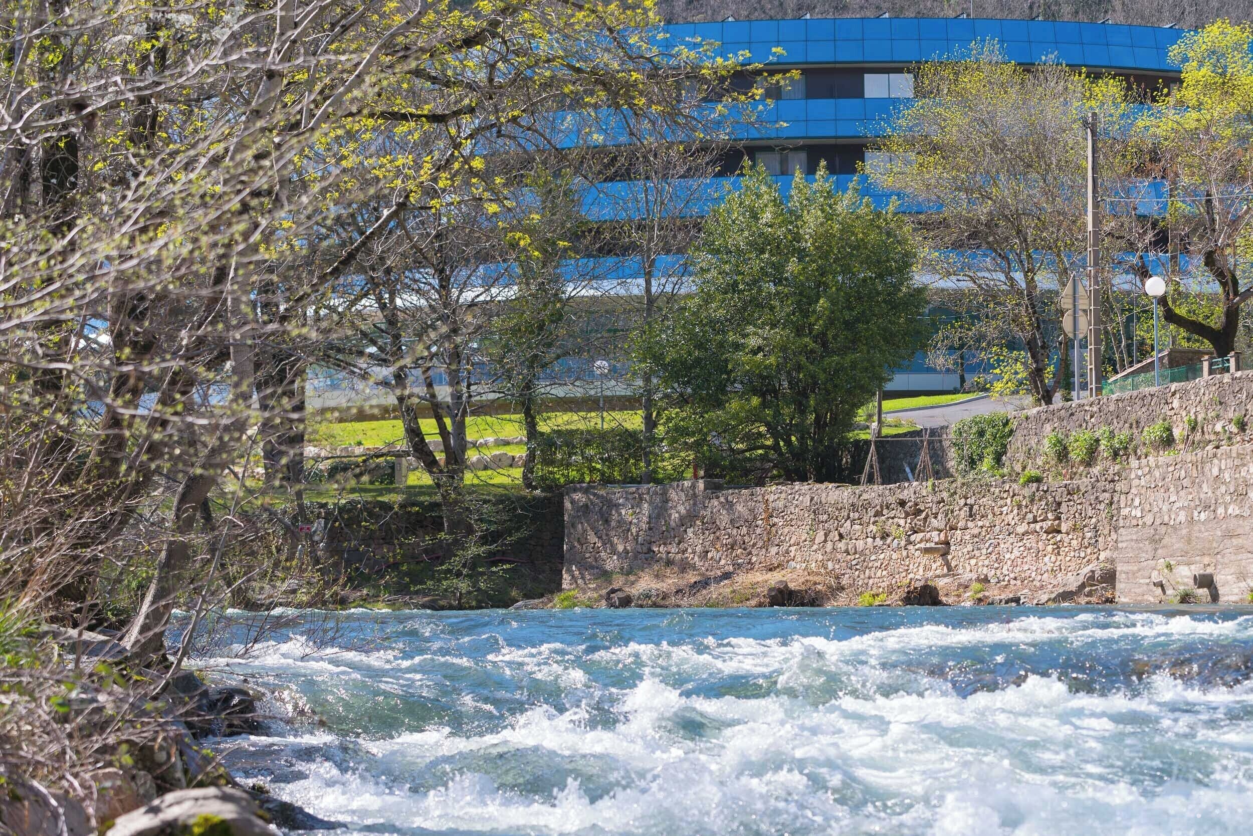 Un río con un muro de piedra y árboles en primer plano, un edificio con ventanas azules al fondo.