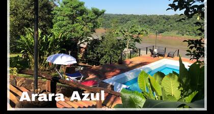 Arara Azul