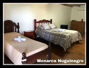 Iron/ironing board, bed sheets