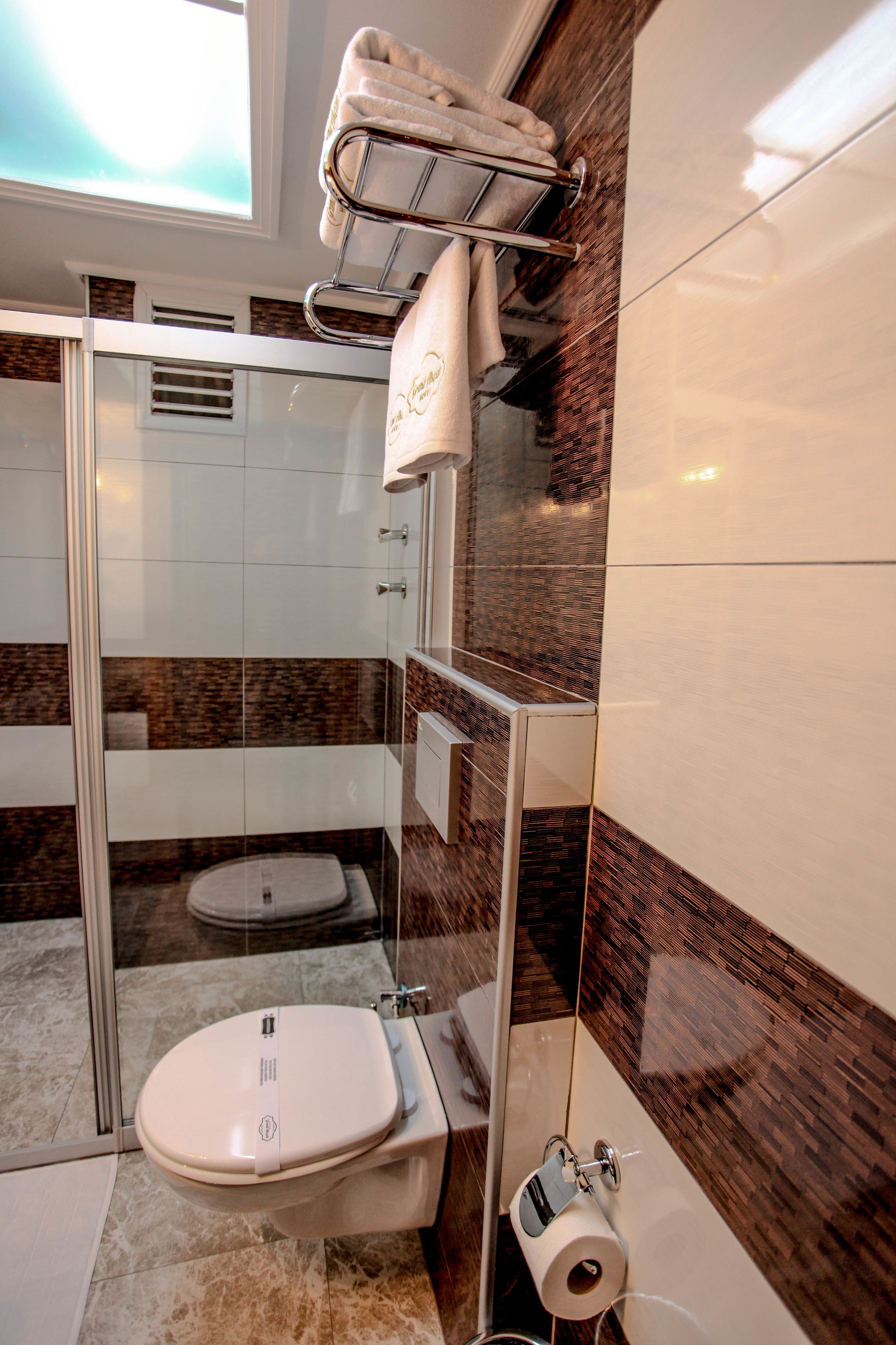 A modern bathroom with a glass shower enclosure, a toilet, and a towel rack.