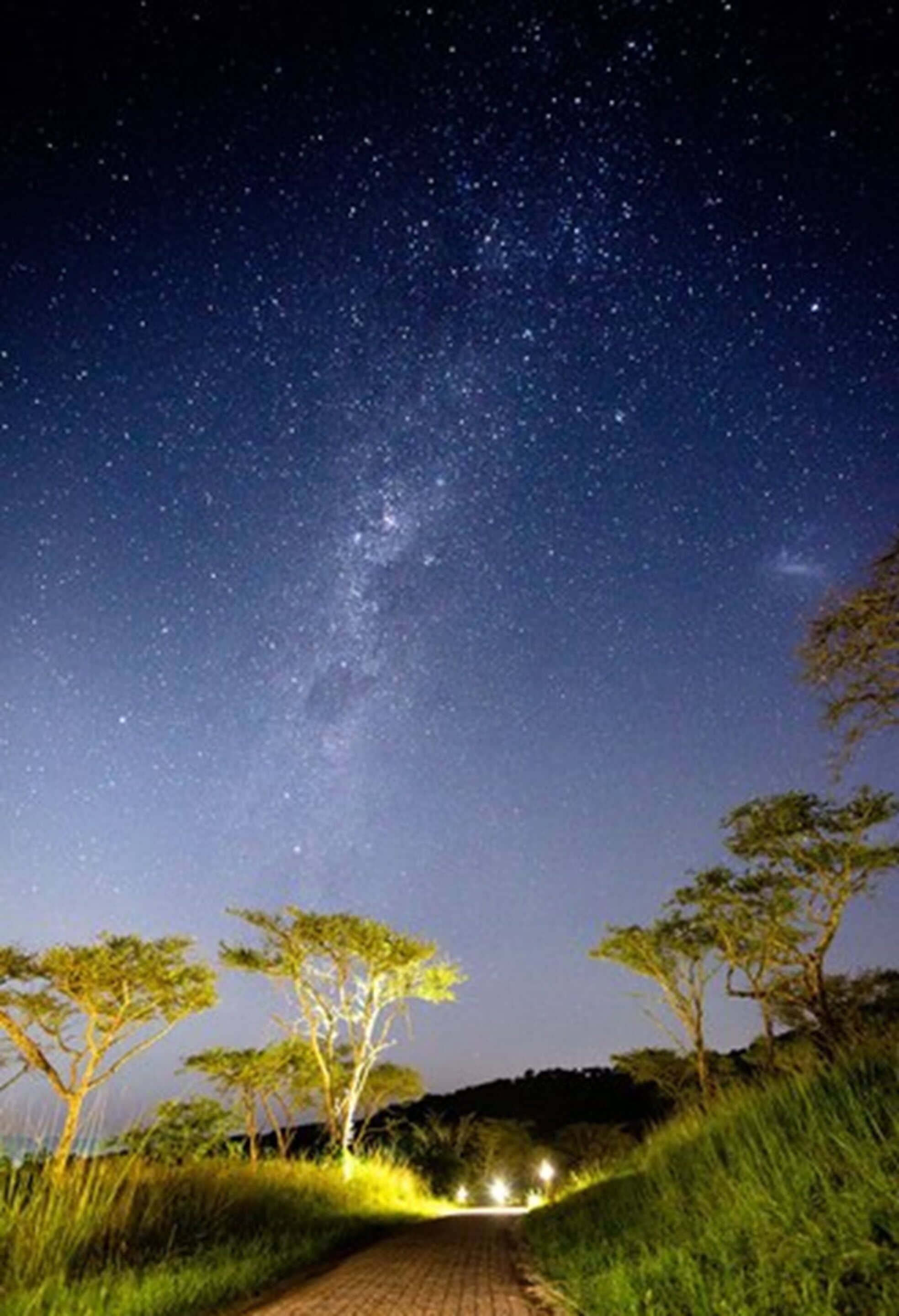 Céu estrelado sobre um caminho pavimentado, com árvores de ambos os lados.