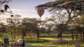A safari scene with a hot air balloon, trees, and safari chairs. - Gnu Ndutu Camp (Ngorongoro)