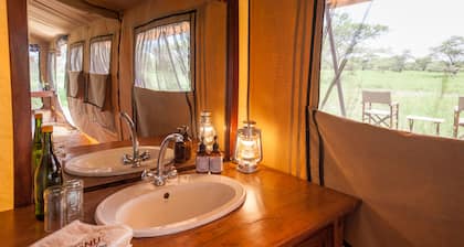 Gnu Ndutu Camp