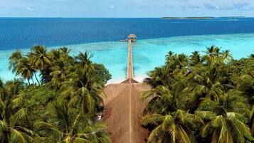 Vista de una playa con un muelle de madera que conduce a una estructura de techo de paja, rodeada de palmeras.