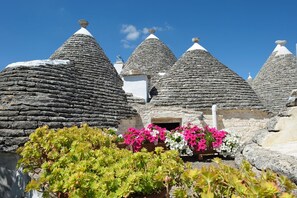 Property grounds - Romantic Trulli (Alberobello)