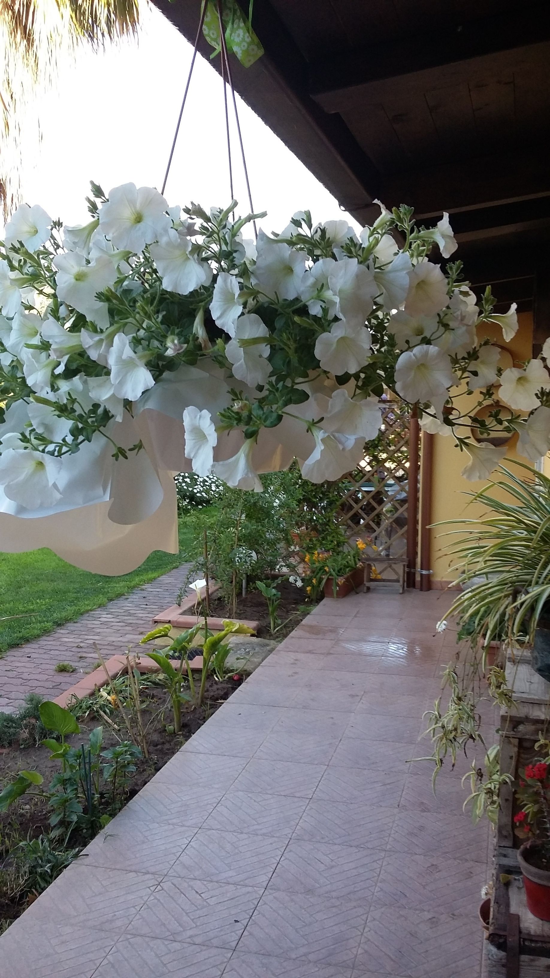 Foto - casa di campagna dal pozzo