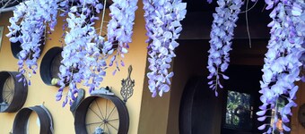 Casa di Campagna Dal Pozzo