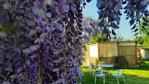 A garden with purple wisteria vines, a wooden shed, and a patio with chairs. - Casa di Campagna Dal Pozzo (Sorso)