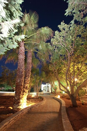A nighttime garden pathway with palm trees and a building in the background. - Resort Costa House (Lampedusa)