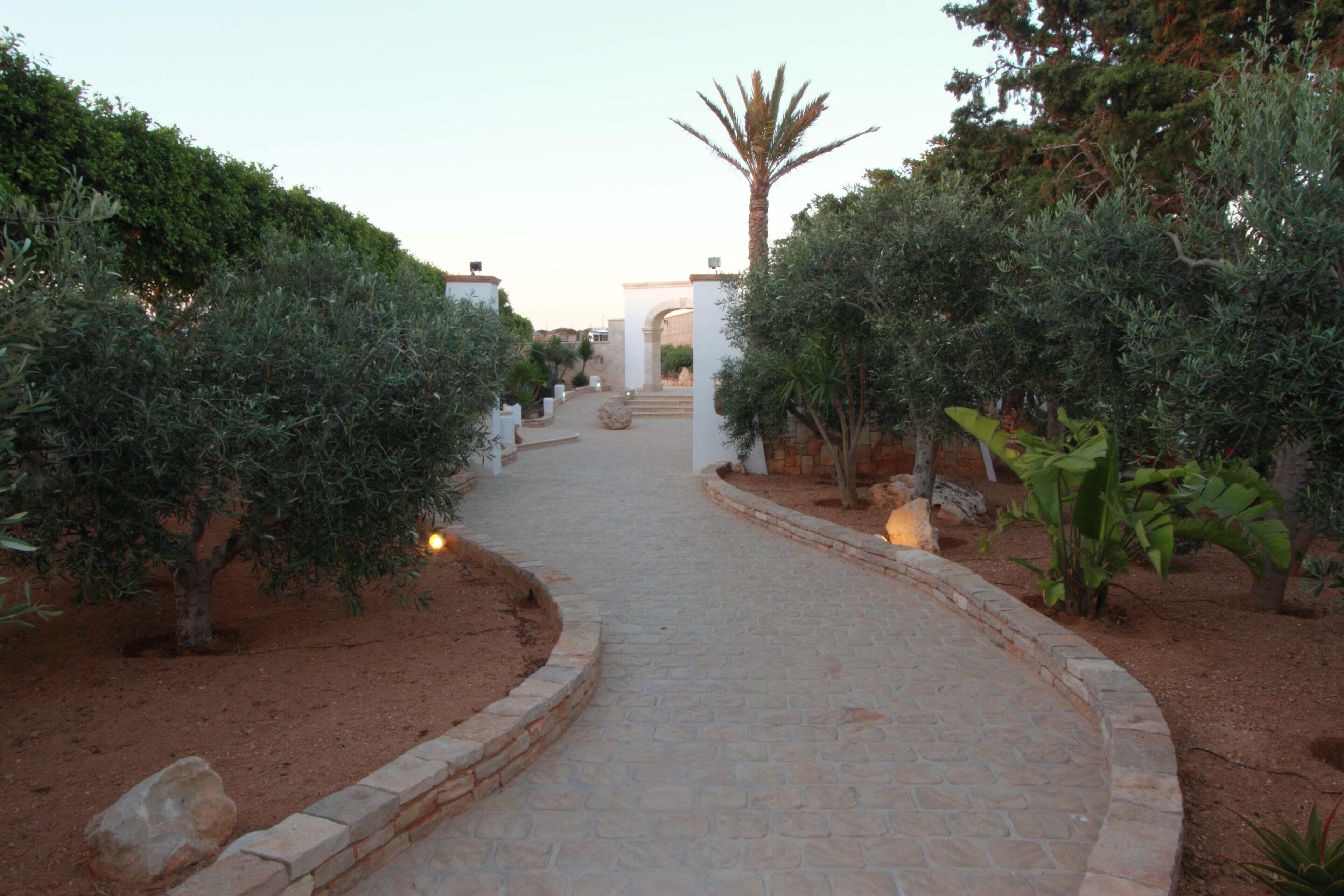 A paved pathway flanked by neatly trimmed hedges and a palm tree, leading to a building entrance.