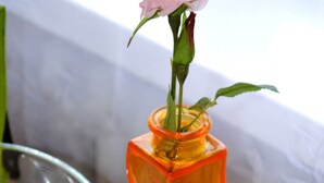 A clear glass vase with a pink rose on a white table. - West Apartments Hoża 36 (Warsaw)