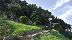 A stone staircase ascending a grassy hill, leading to a metal lamp post. - Villa La Rocca (Castelsardo)