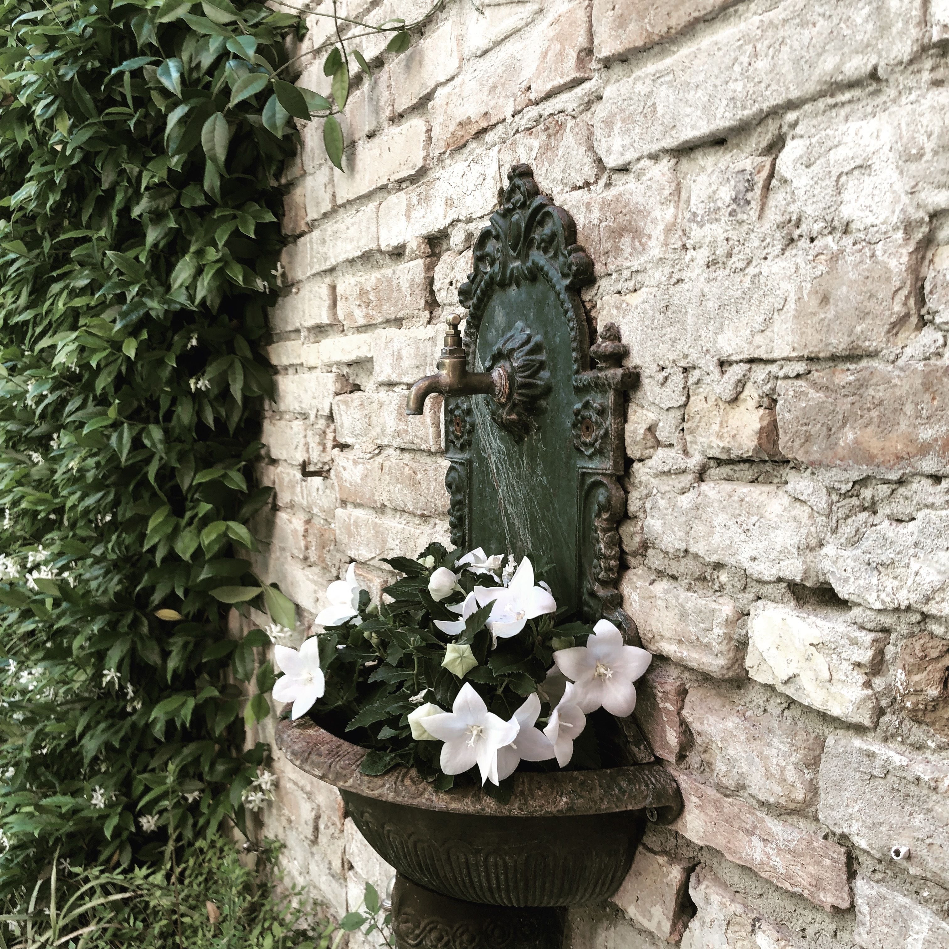 Foto - Le Case Di San Vitale