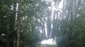 A paved pathway flanked by metal railings, leading through a wooded area with tall trees. - Delphi Lodge (Ashbourne)