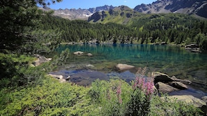 Un lago de montaña cristalino rodeado de un bosque denso y terreno rocoso.