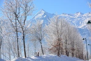View from room - Apartment Mountain Panorama by Z-K-H Rentals (Zell am See)