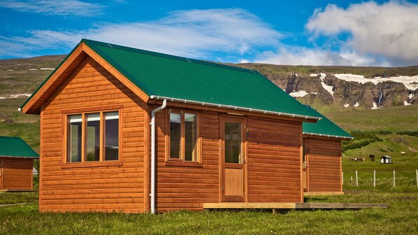Une cabane en bois avec un toit vert, une porte et des fenêtres, située dans un champ herbeux avec des montagnes en arrière-plan.