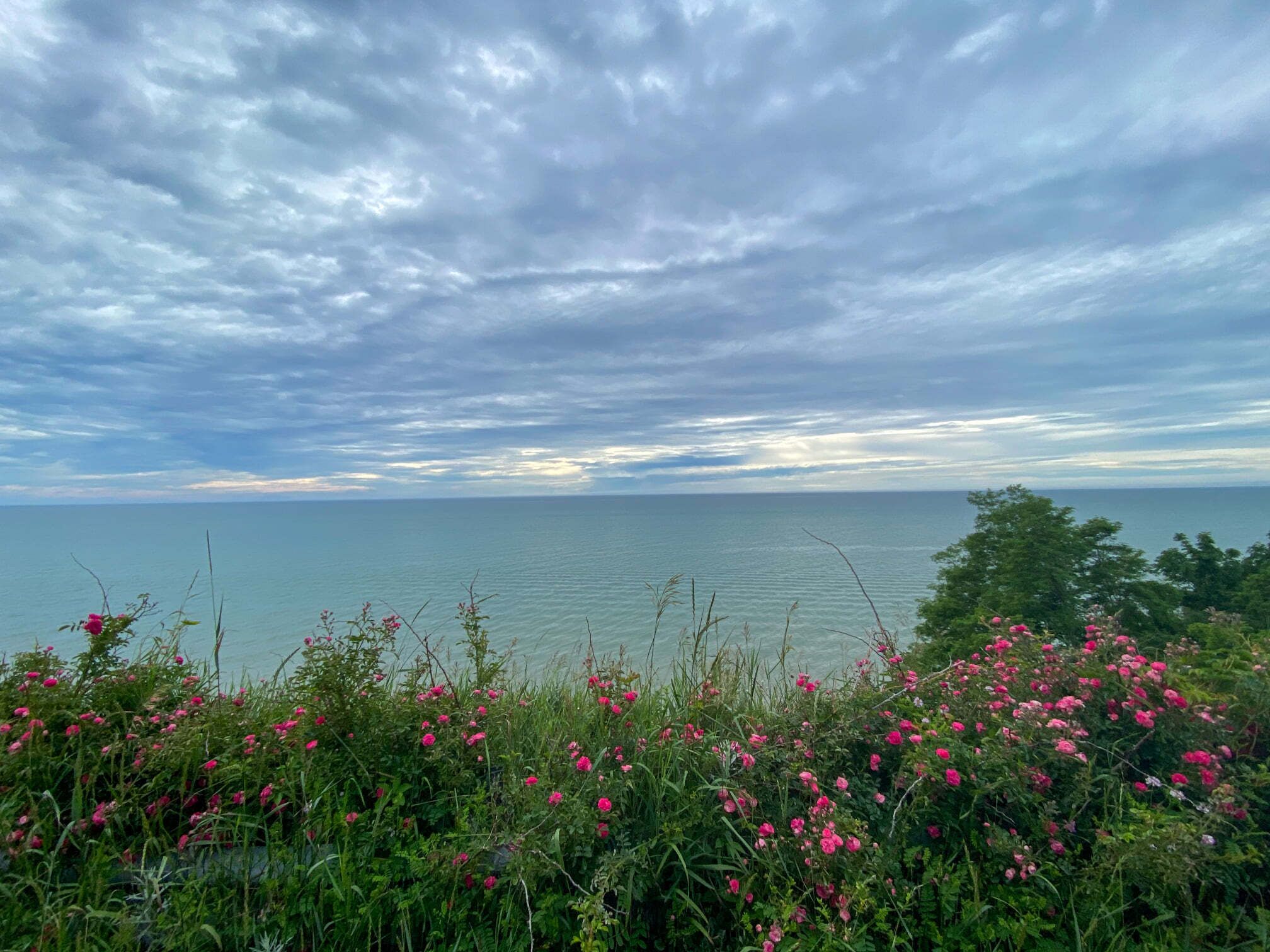 鄰近海灘、白沙、躺椅、海灘浴巾