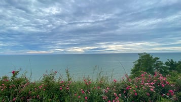 Playa en los alrededores, playa de arena blanca y camastros