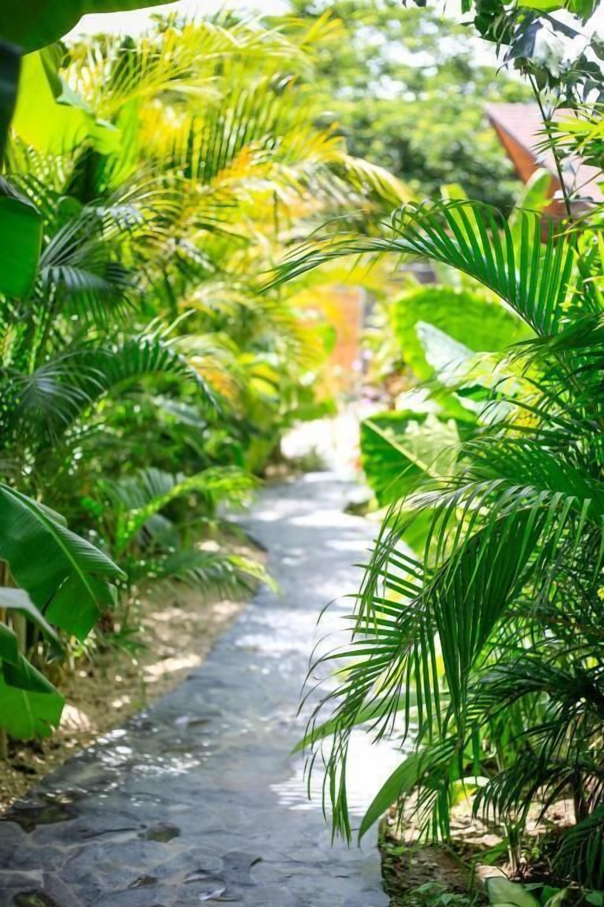 A narrow stone pathway flanked by lush green foliage.