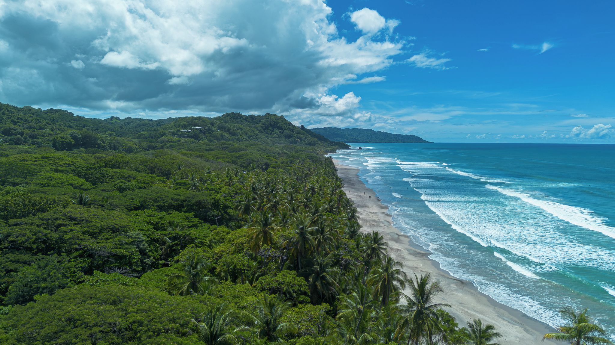 Un paisaje costero con densa vegetación tropical y una playa.