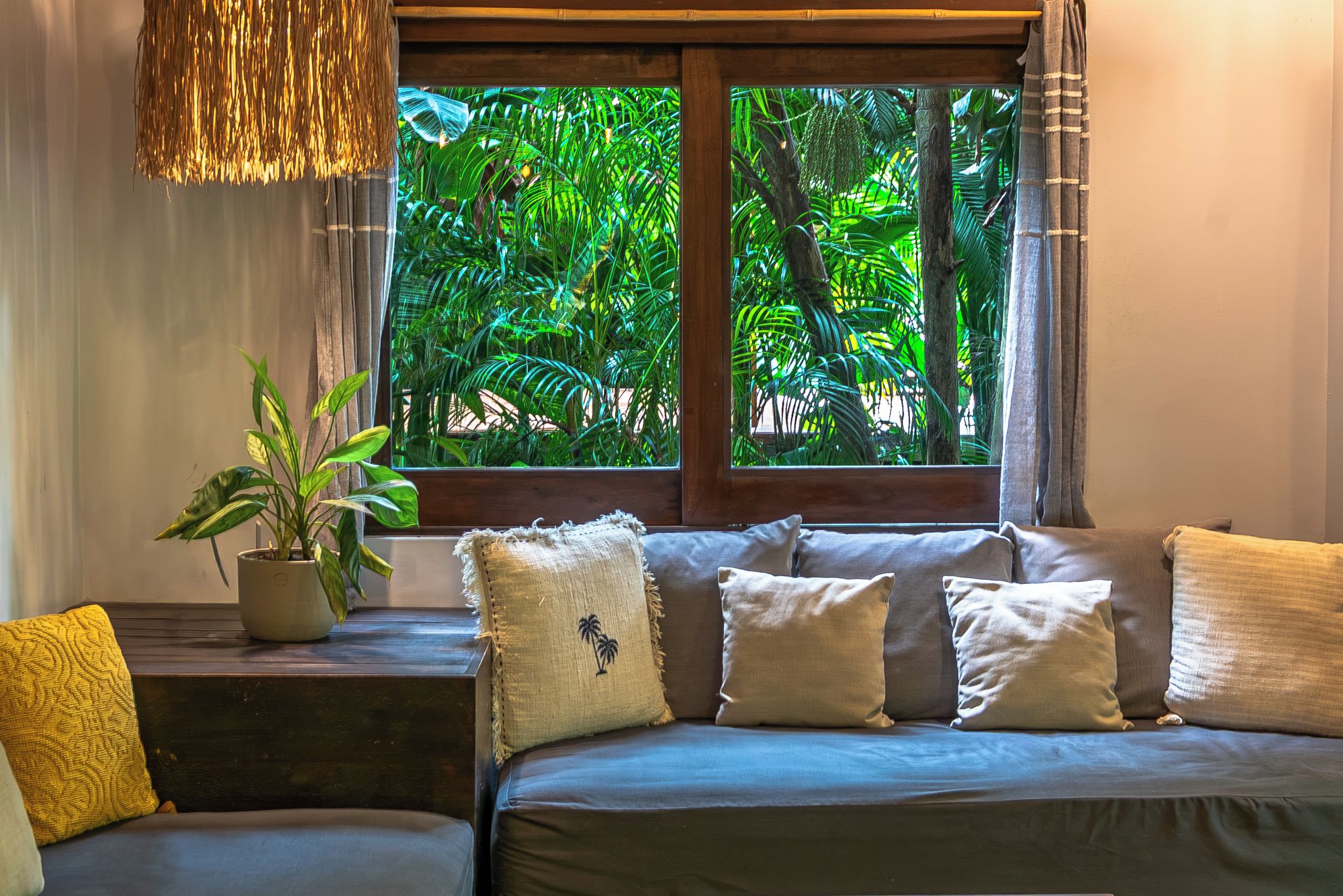 Una habitación con sofá, una planta en maceta y ventana con vistas a follaje.
