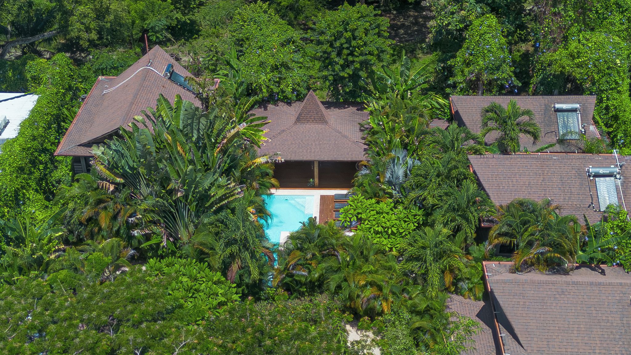 Propiedad residencial con piscina rodeada de exuberante vegetación tropical.