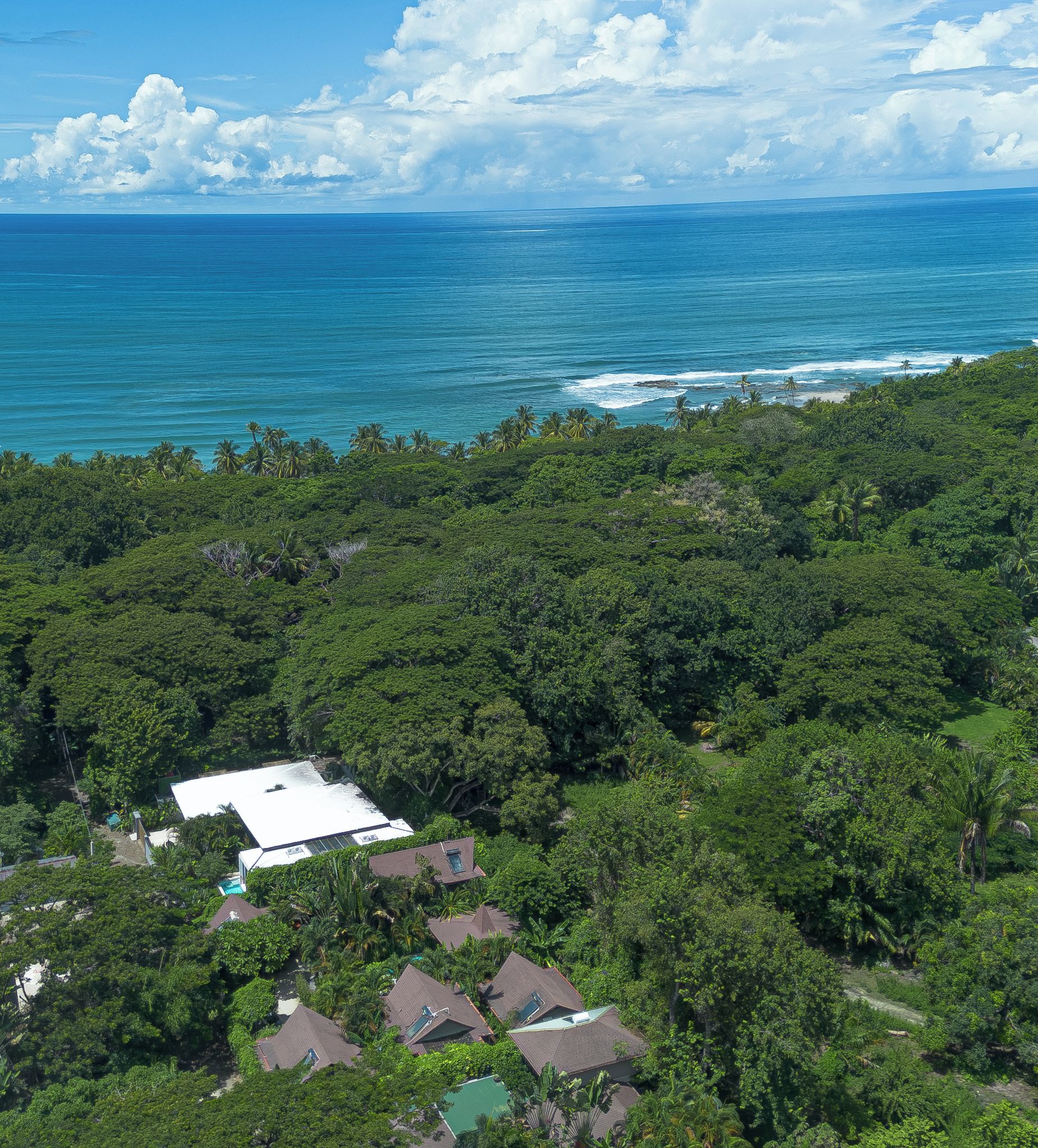 A coastal property with dense greenery, a white building, and a view of the ocean.