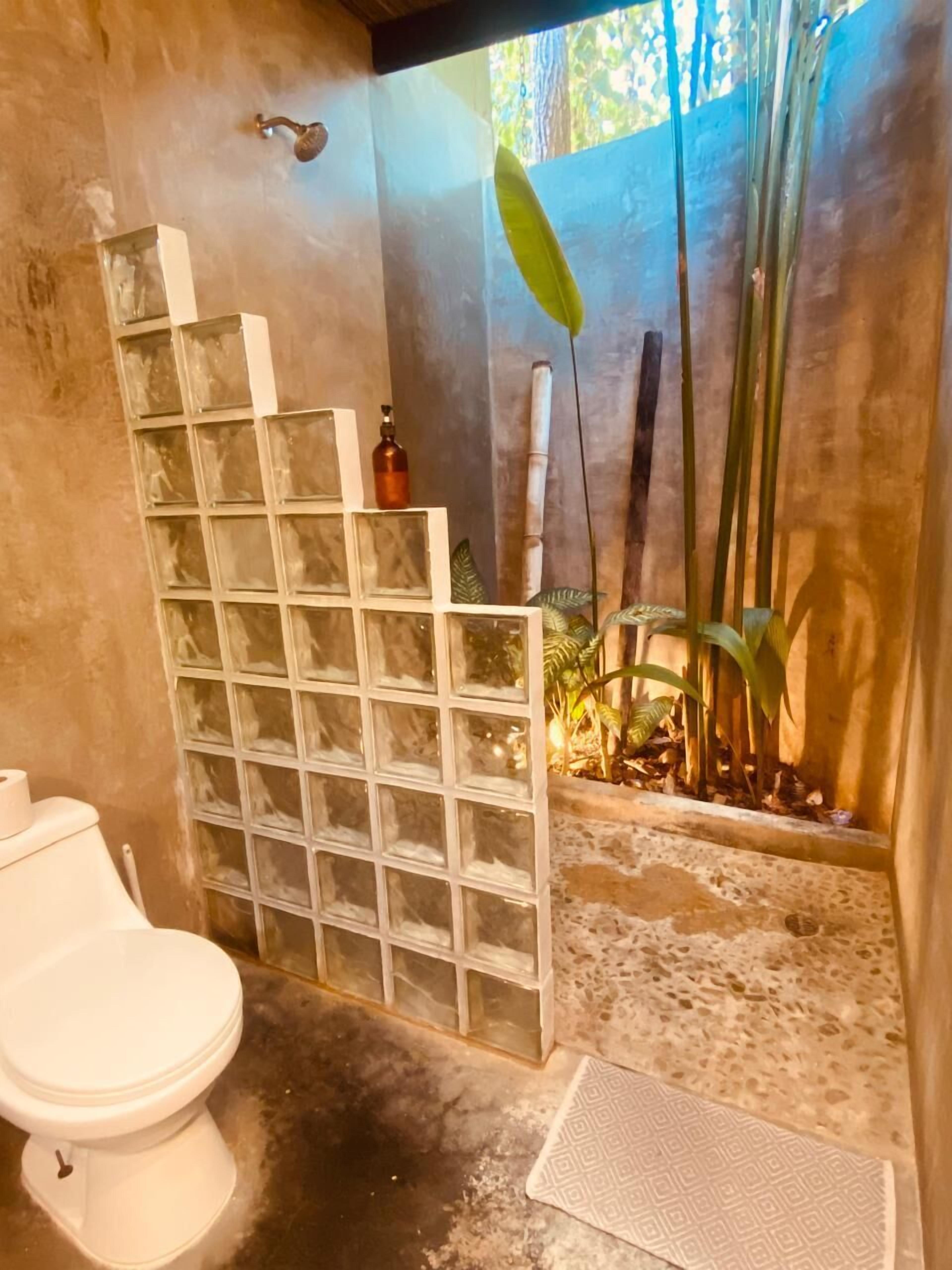 Casa de banho com divisória de vidro, sanita e um espaço com plantas.