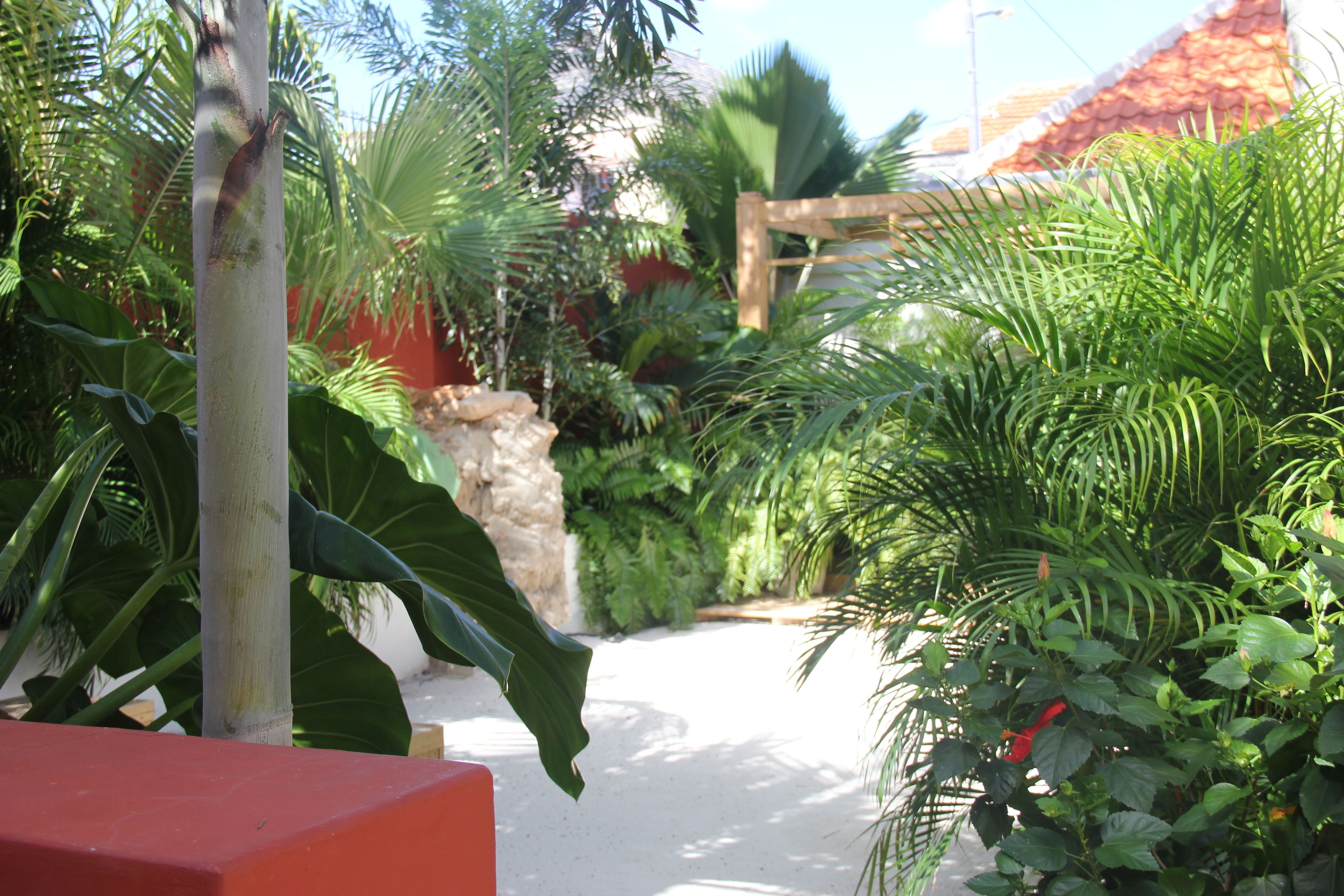 happy hummingbird ground floor two bedroom apartment,with garden view terrace and shared plunge pool | garden view