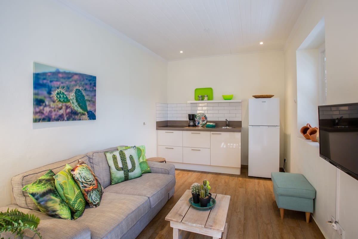Un espacio habitable compacto con kitchenette, un sofá con cojines de temática de cactus, una pequeña mesa con un cactus y un televisor montado en la pared.