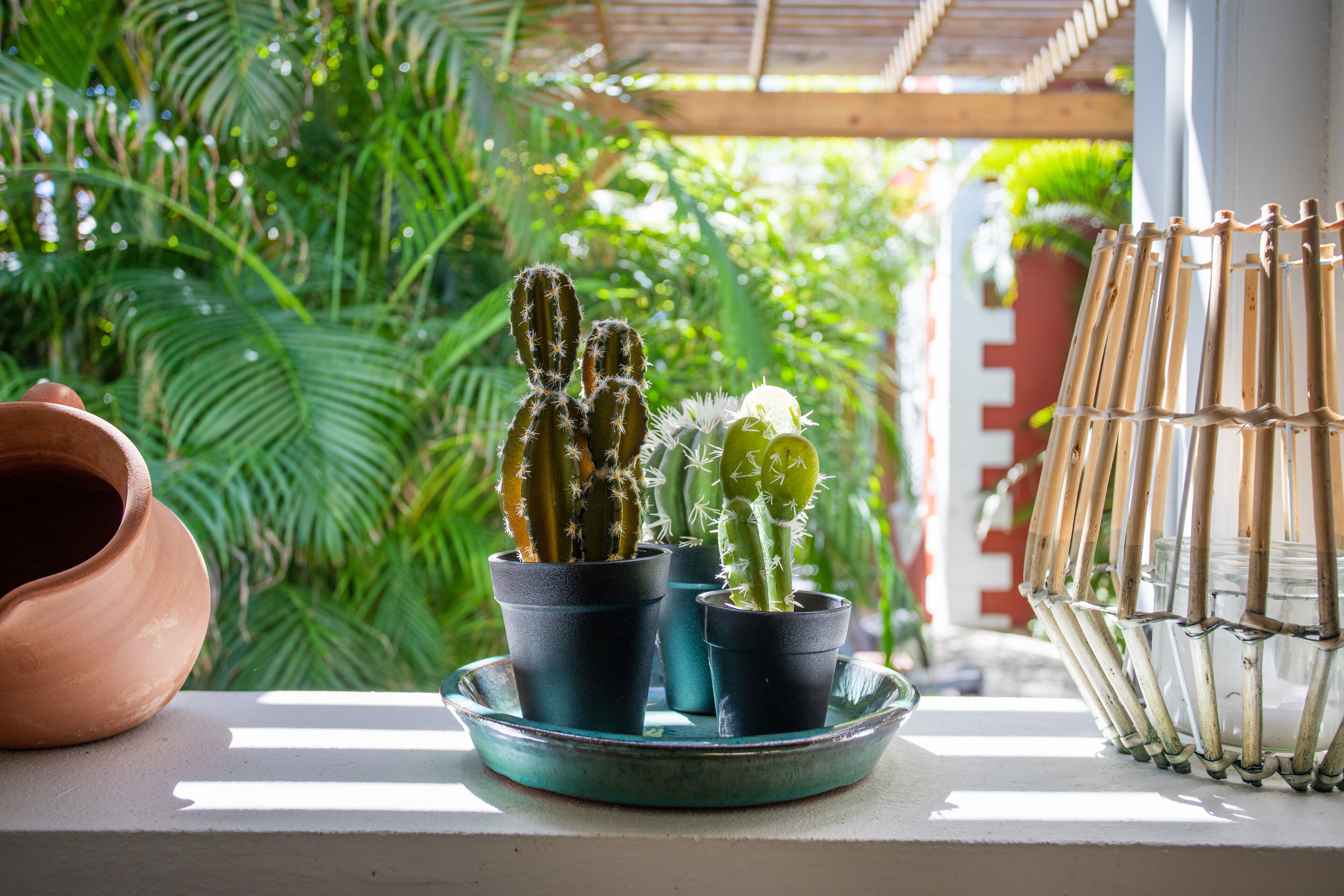 cozy cactus ground floor one bedroom apartment, with terrace and shared plunge pool | 1 bedroom, premium bedding, in-room safe, individually decorated