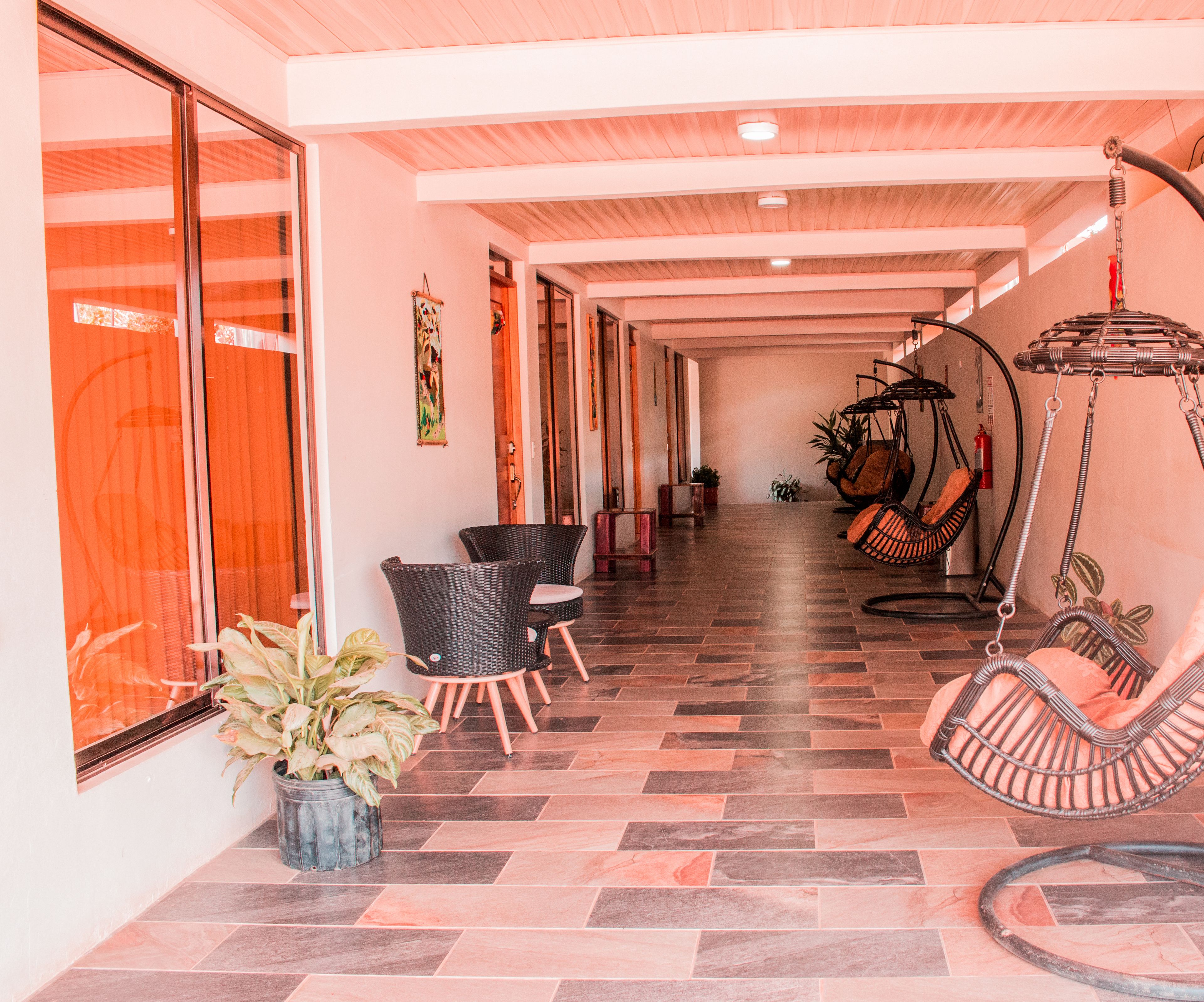 A corridor with wicker chairs, a hanging chair, and potted plants.