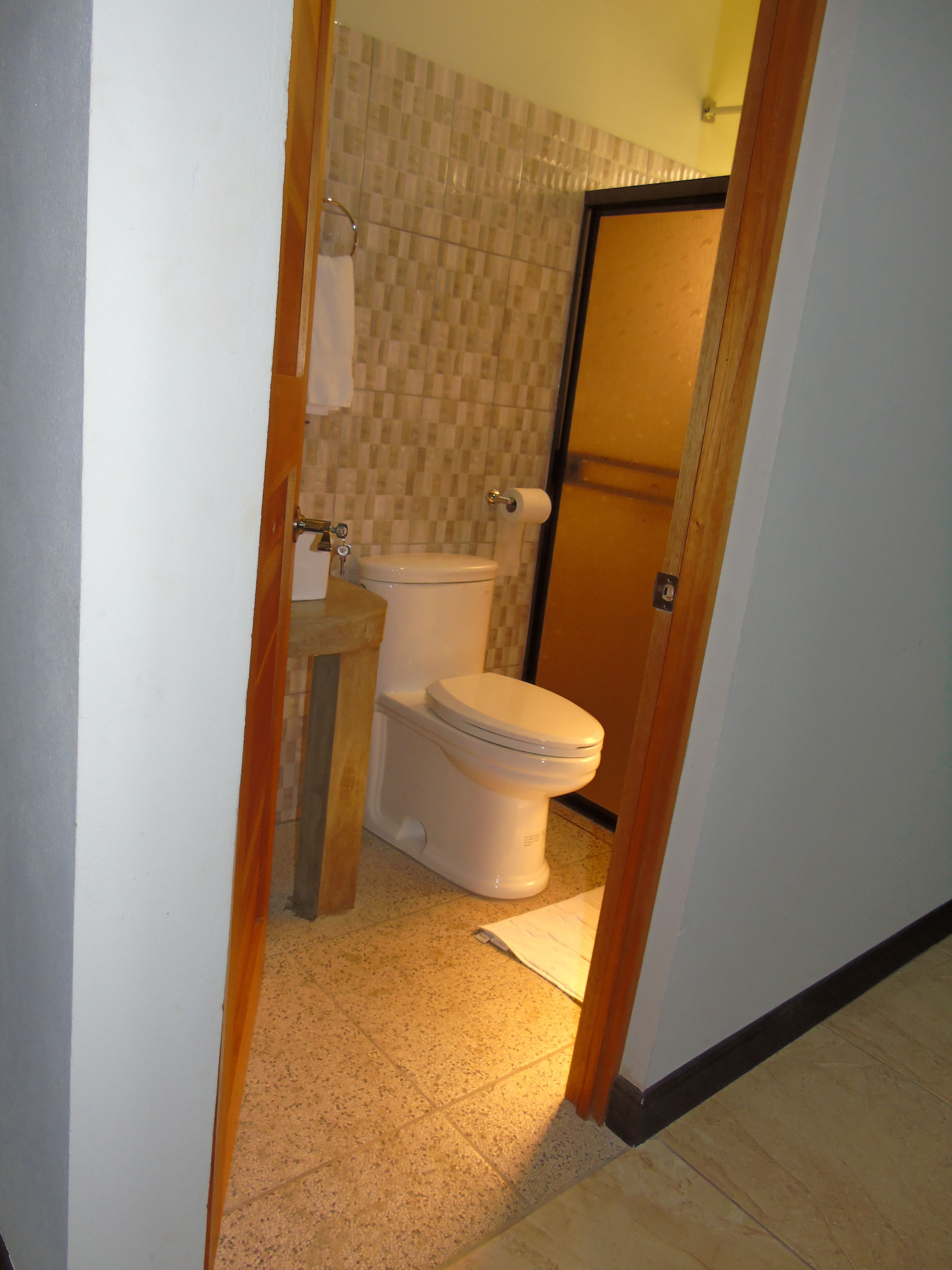 A bathroom with a toilet, a sink, and a shower area.