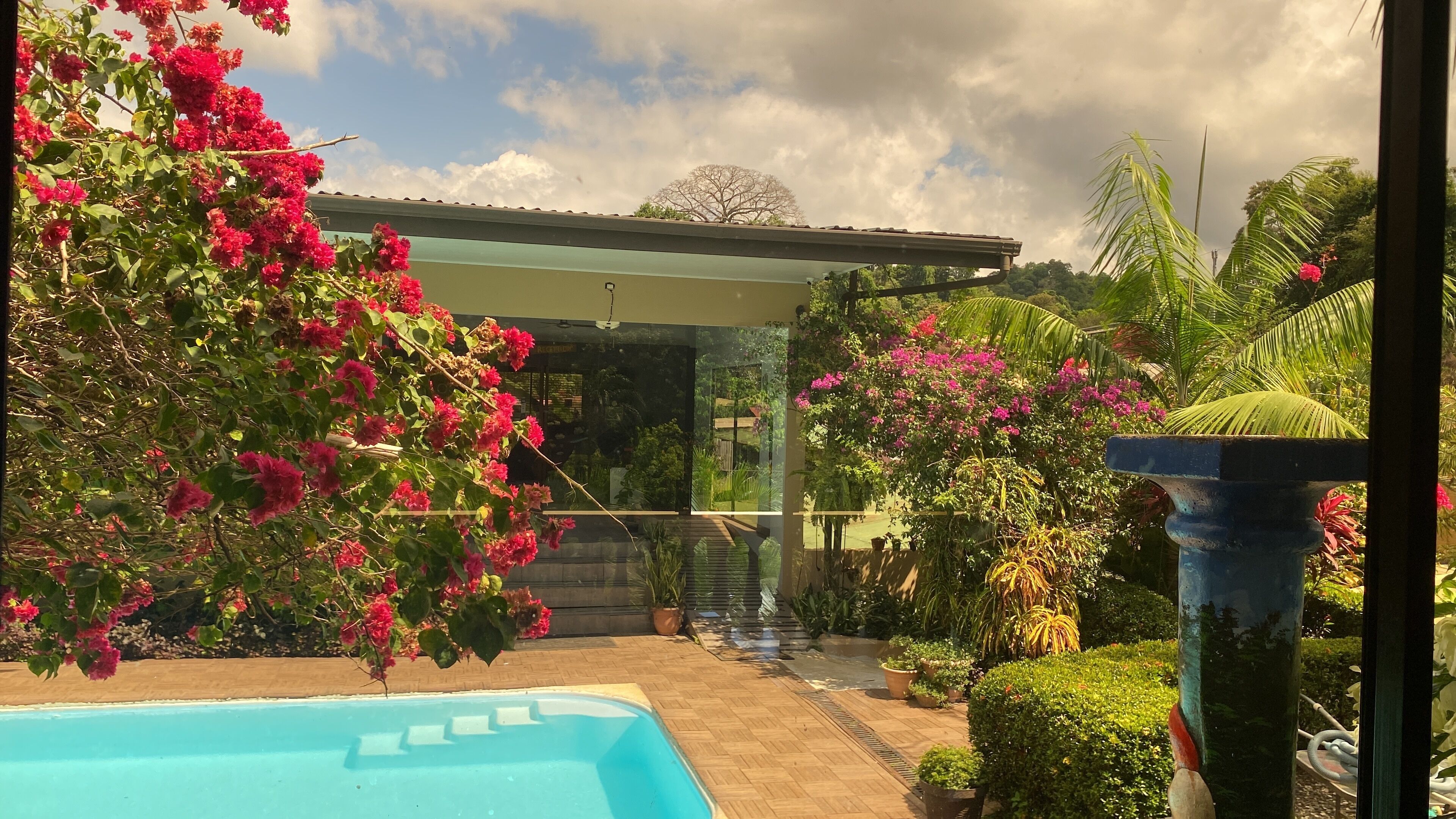 A pool area with a glass enclosure, surrounded by lush greenery and flowering plants.