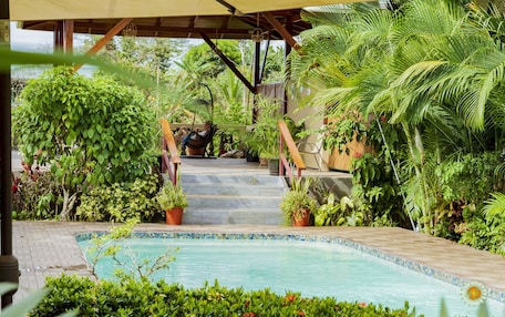 A pool area with steps leading to a covered seating area, surrounded by lush greenery and potted plants.