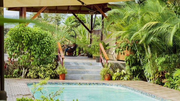 A pool area with steps leading to a covered seating area, surrounded by lush greenery and potted plants. - Hotel Margarita (Drake Bay)