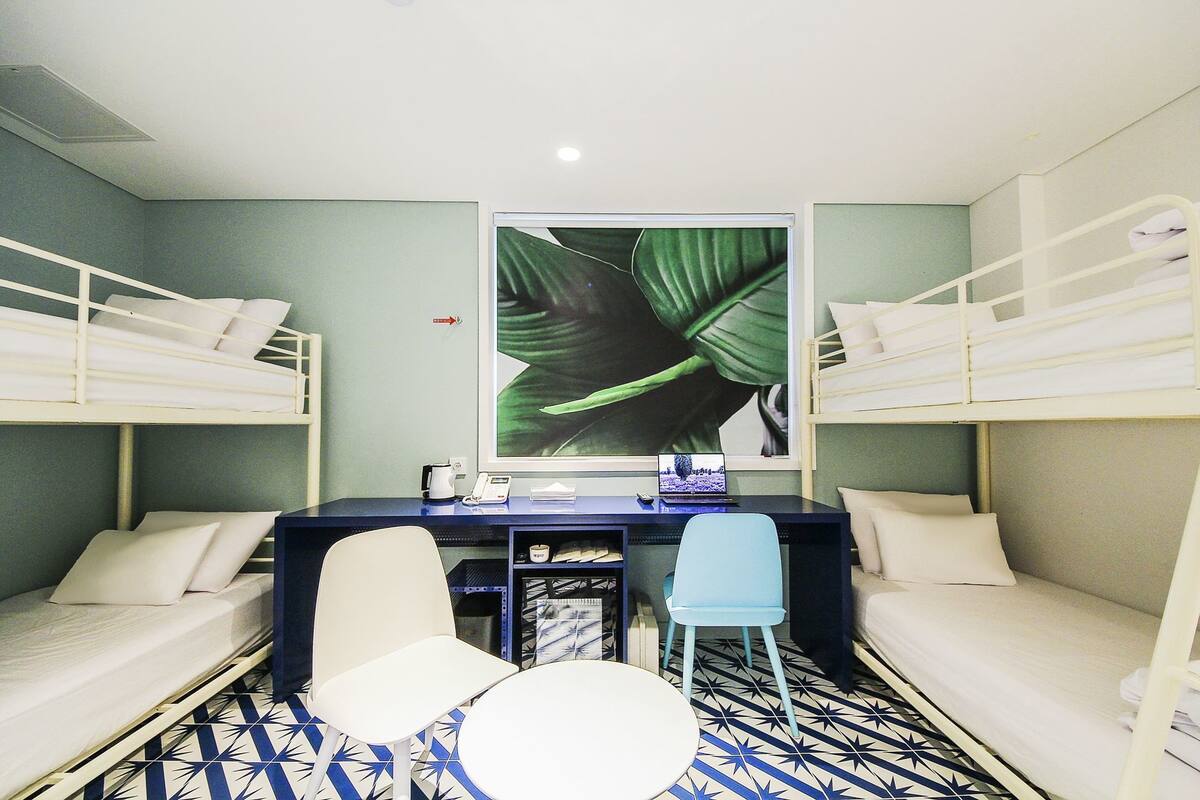 Ein Zimmer mit Etagenbetten, einem Schreibtisch mit Computer, zwei Stühlen und einer großen Pflanze an der Wand.