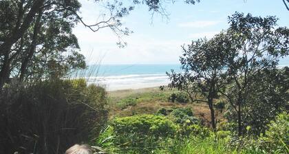 Ohiwa Seascape Studios