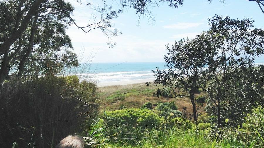 Ohiwa Seascape Studios