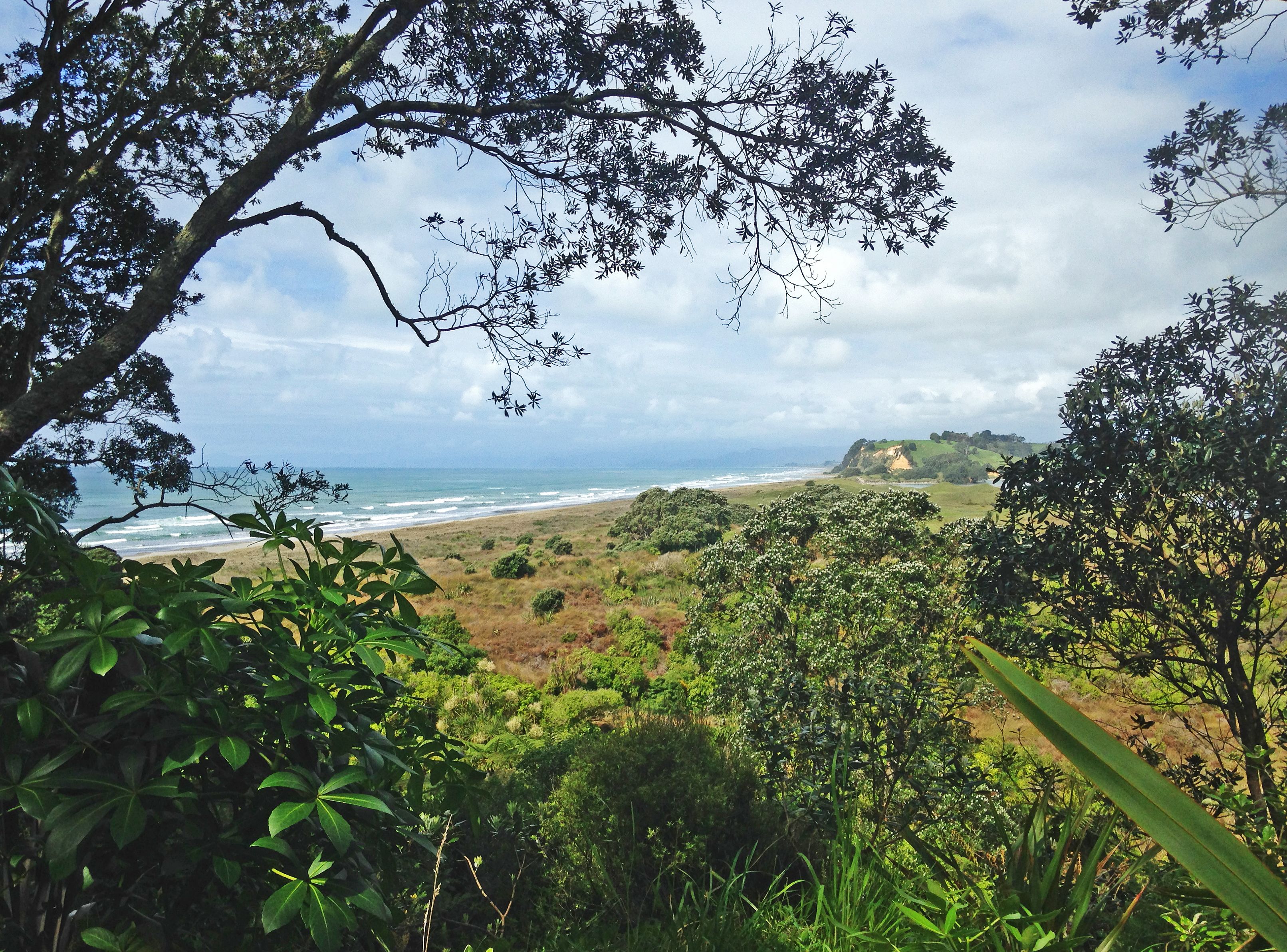 Paesaggio costiero con spiaggia, vegetazione e scogliere sullo sfondo.
