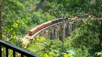 Vista desde la propiedad